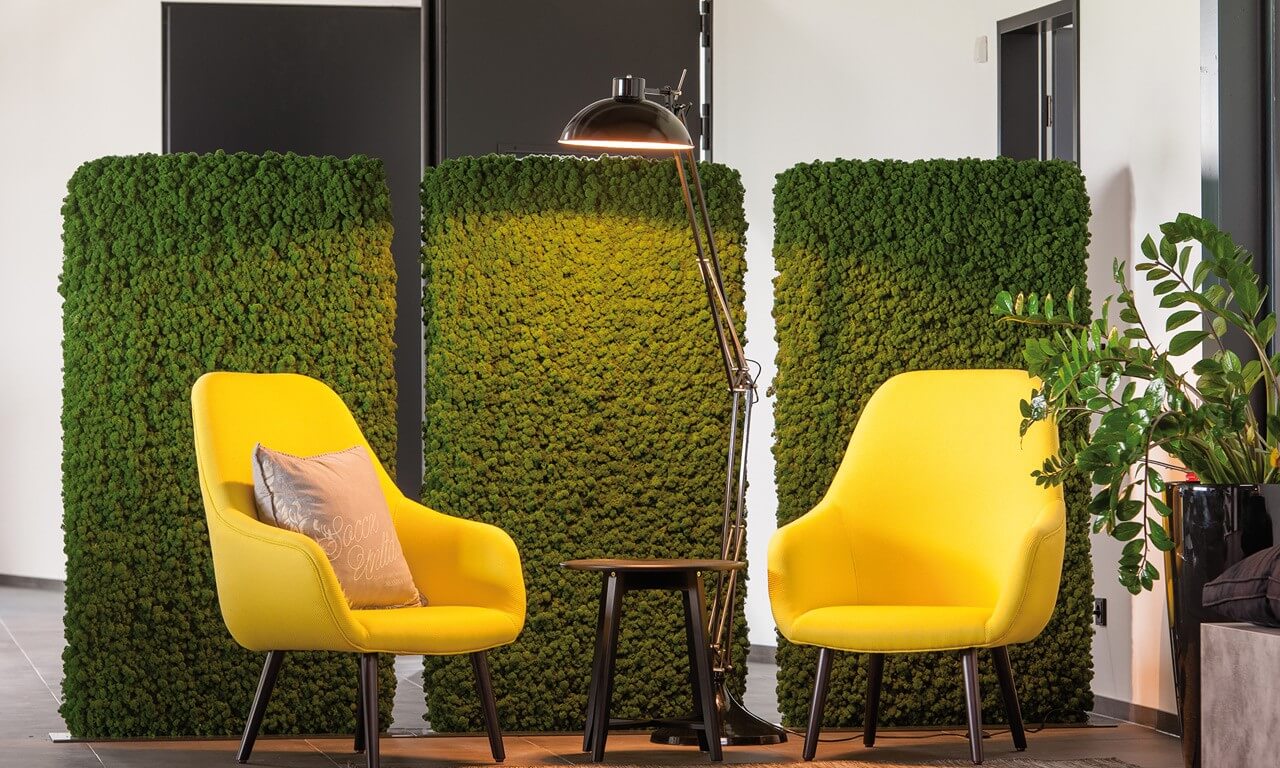 Karibu Design Studio Iasi - Licheni decorativi