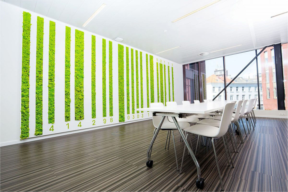 Karibu Design Studio Iasi - Licheni decorativi
