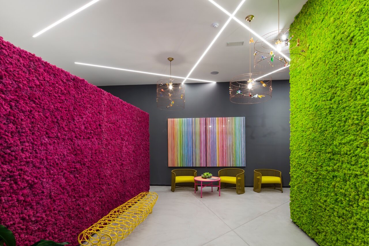 Karibu Design Studio Iasi - Licheni decorativi
