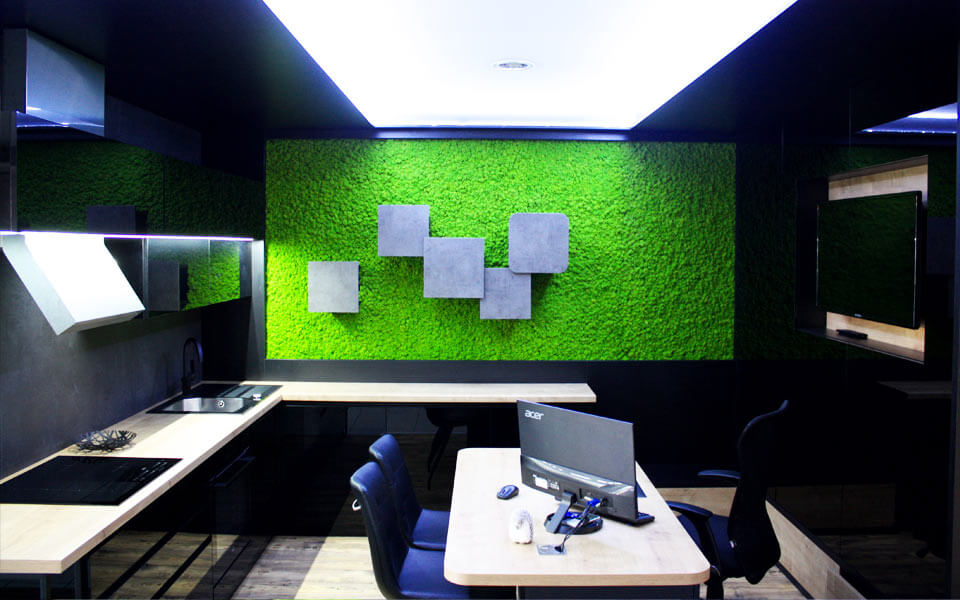 Karibu Design Studio Iasi - Licheni decorativi