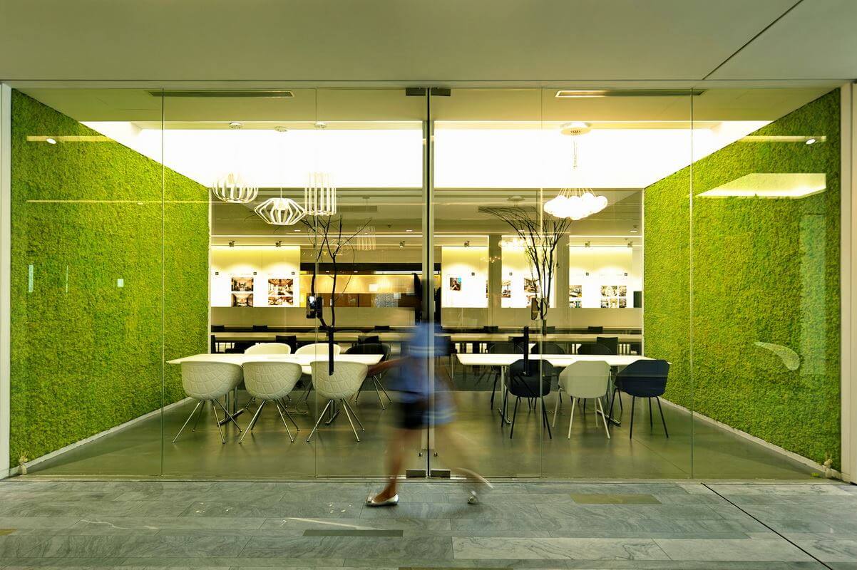 Karibu Design Studio Iasi - Licheni decorativi