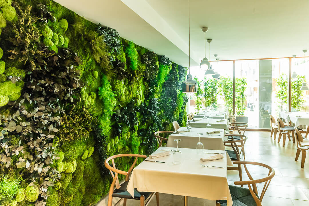 Karibu Design Studio Iasi - Muschi decorativi