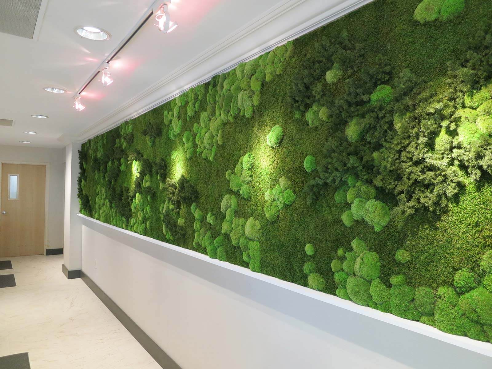 Karibu Design Studio Iasi - Muschi decorativi